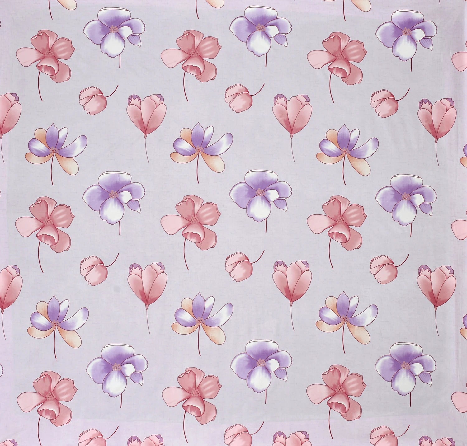 Blush Bloom - Queen/Double - Fitted Bedsheet (76×72 inches)