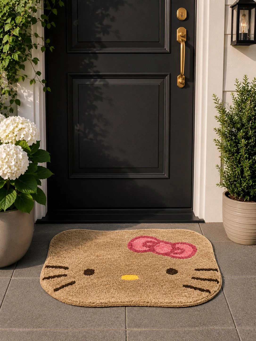 Lucy - Anti-Slip Microfibre Doormat (40x60 cm) - Pack of 1