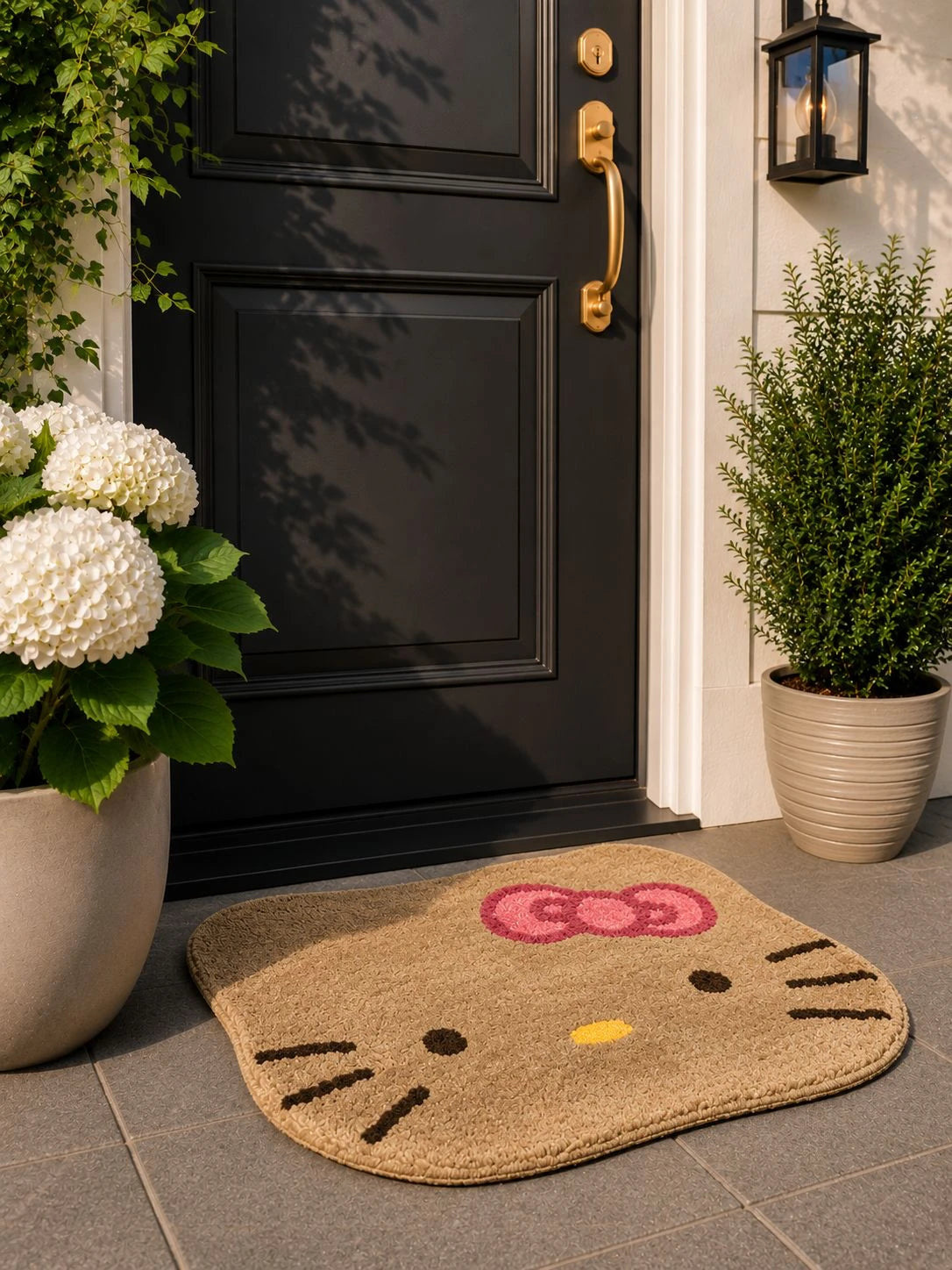 Lucy - Anti-Slip Microfibre Doormat (40x60 cm) - Pack of 1