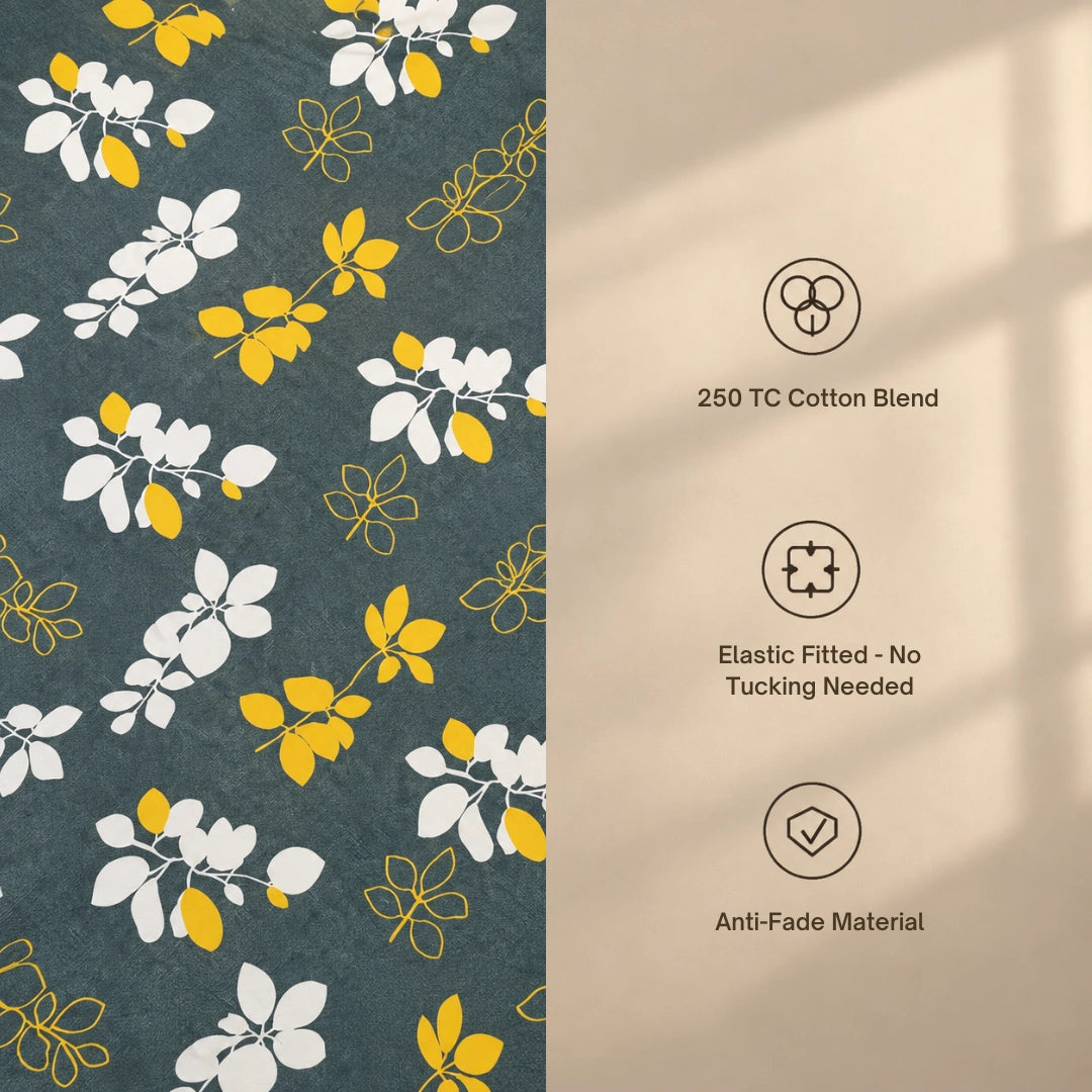 Nightingale - Queen/Double - Fitted Bedsheet (76×72 inches)