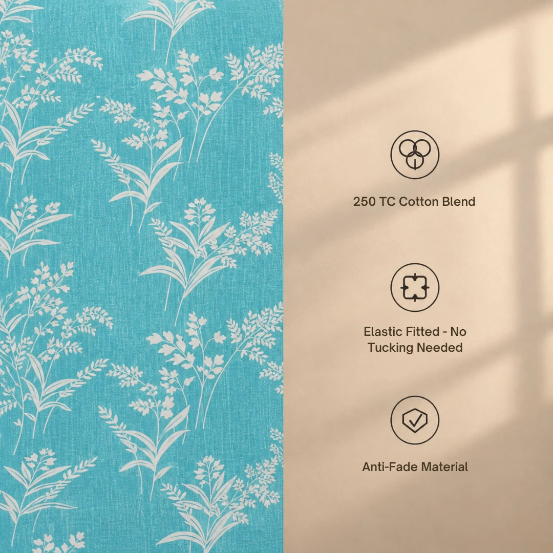 Tuscany - King - Fitted Bedsheet (78×72 inches)