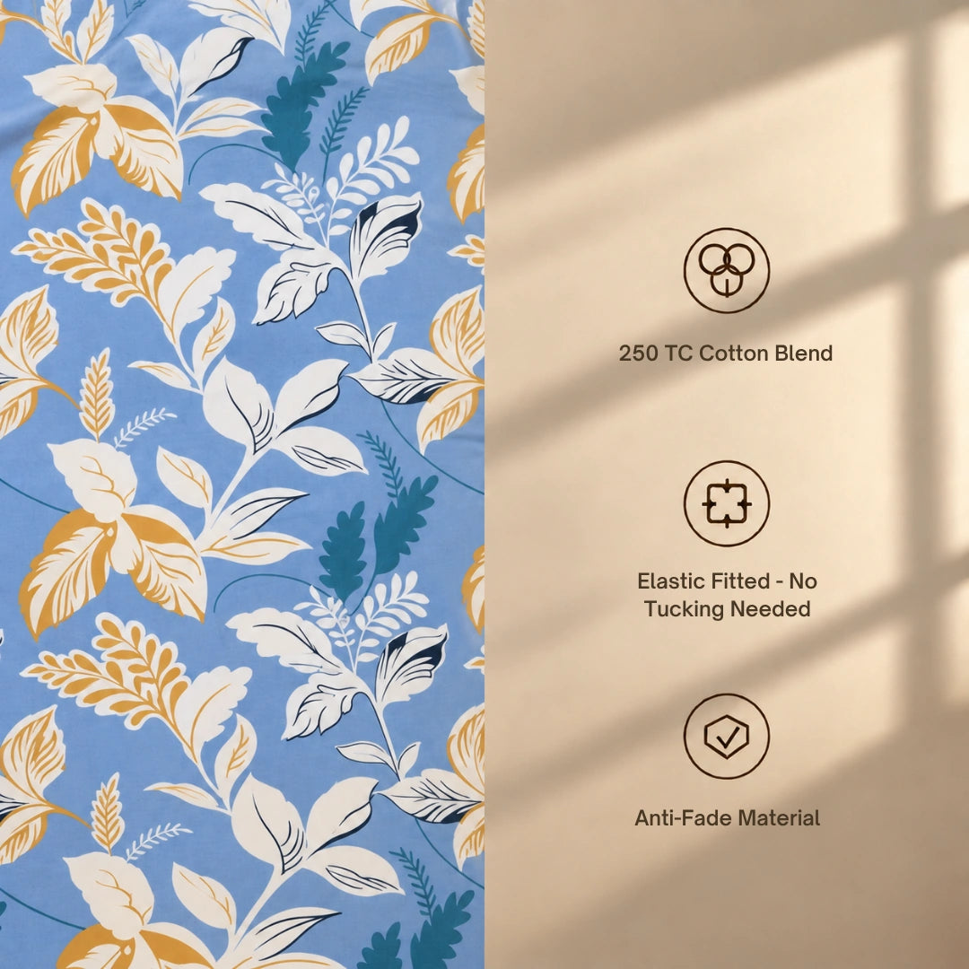 Velora - King - Fitted Bedsheet (78×72 inches)