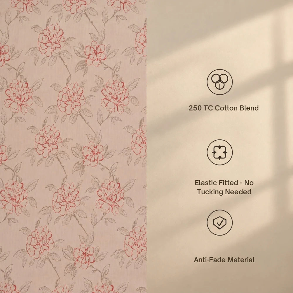 Amari - King - Fitted Bedsheet (78×72 inches)
