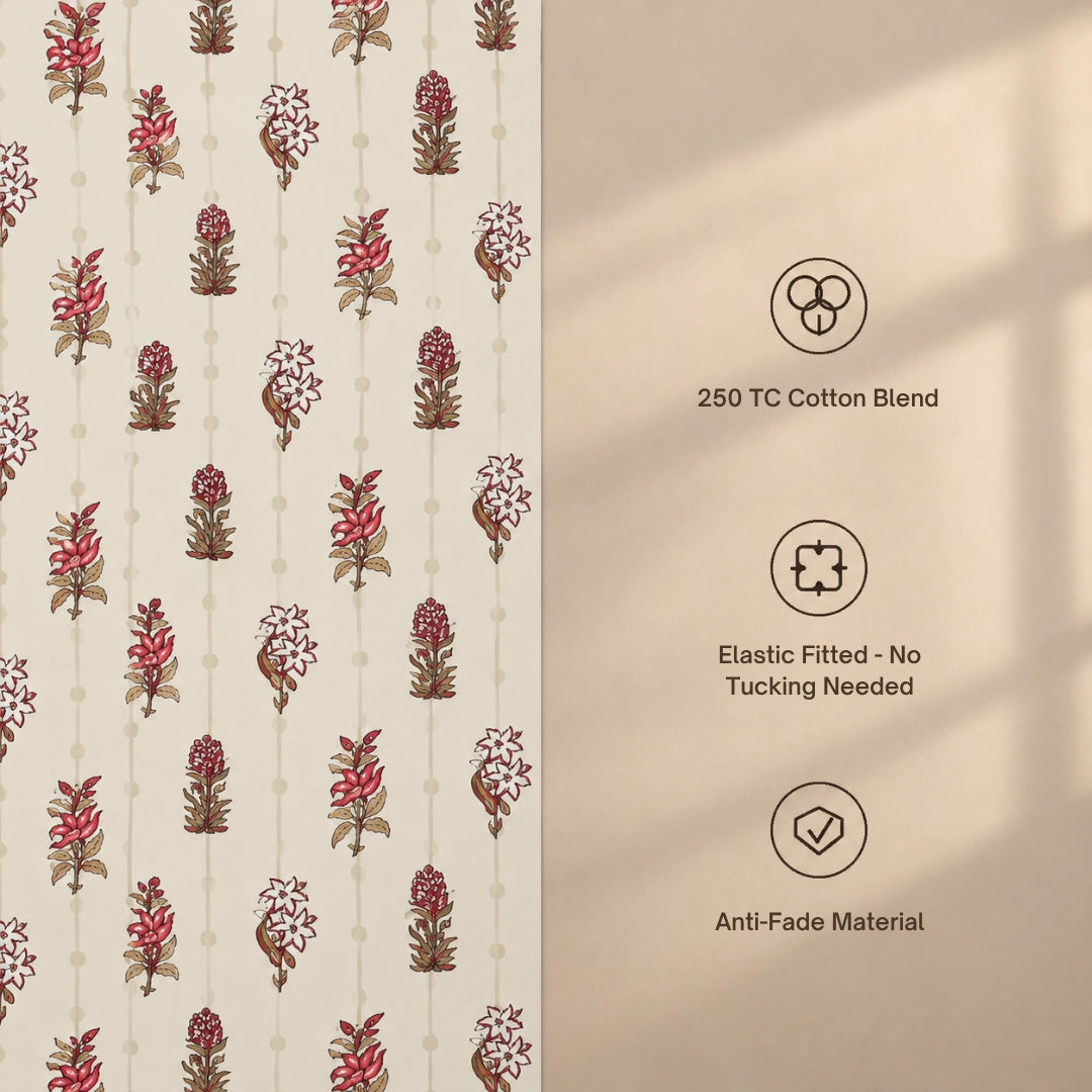Cortina - King - Fitted Bedsheet (78×72 inches)