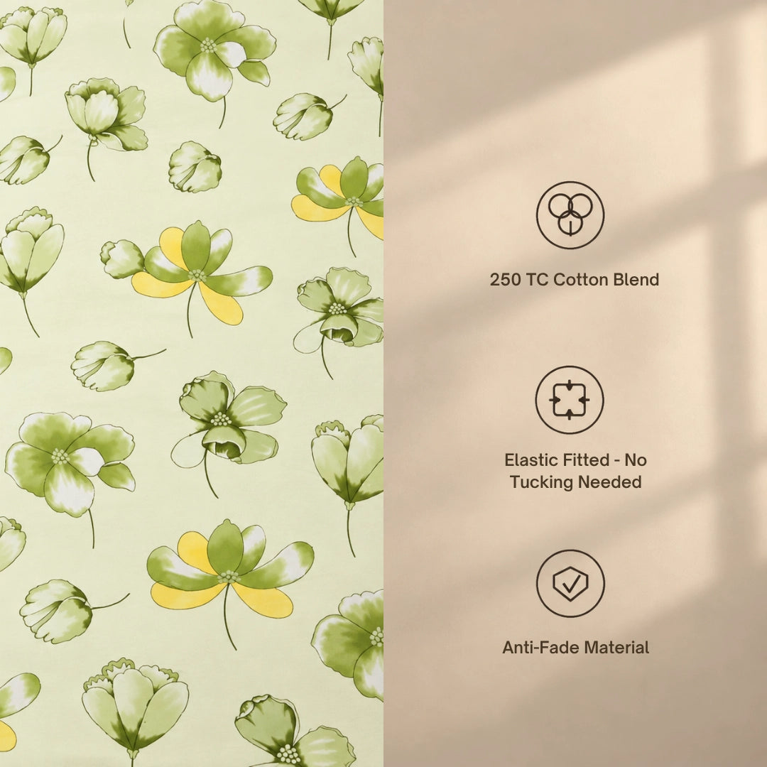 Melissa - King - Fitted Bedsheet (78×72 inches)