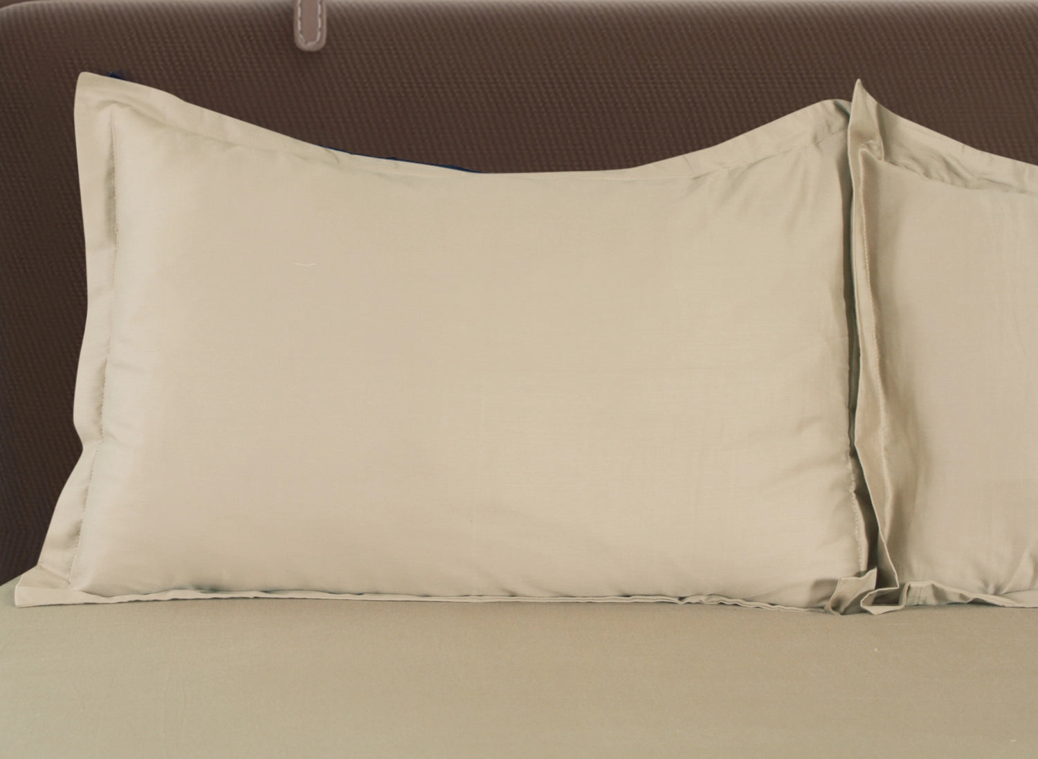 PURITY - Sandstone - Pure Cotton King Bedsheet (108×108 inches)