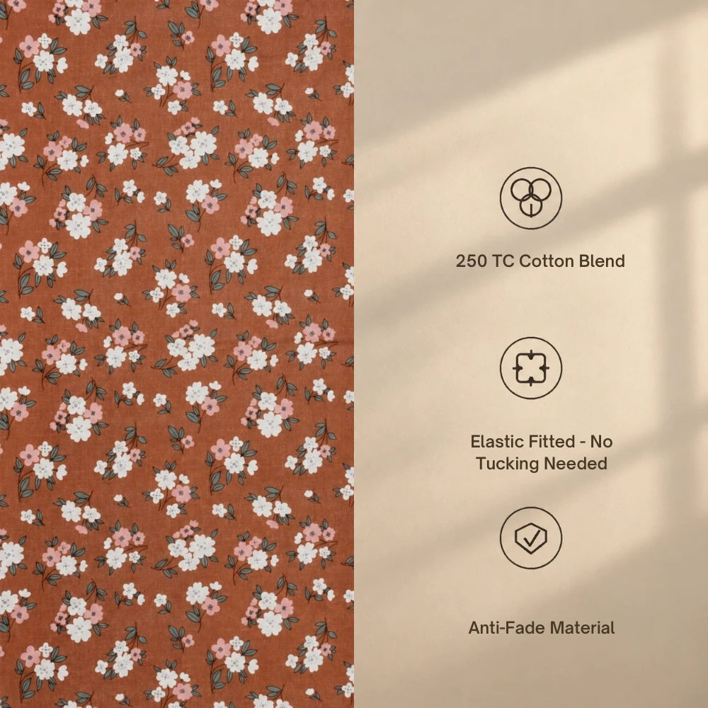 Picasa - King - Fitted Bedsheet (78×72 inches)
