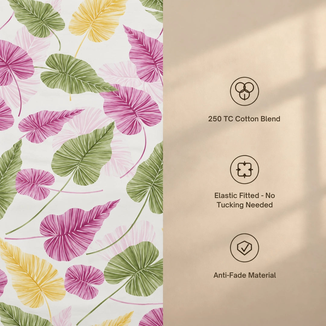 Selena - Queen/Double - Fitted Bedsheet (76×72 inches)